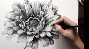 draw drawing flower background image