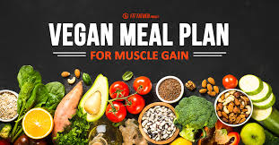 vegan meal plan for muscle gain the