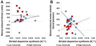 The Effects Of Psychosocial Stress On Dopaminergic Function