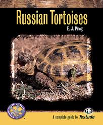 Russian Tortoises Complete Herp Care Amazon Co Uk E J
