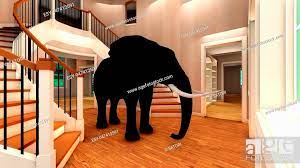 elephant in the living room stock