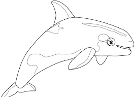 Collection of orca coloring page (29) cute orca coloring pages shark coloring pages for kids Free Printable Whale Coloring Pages For Kids