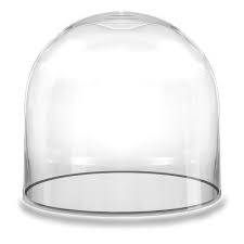 Glass Dome Cloche Terrarium Bell Jar
