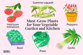 grow plants for your vegetable garden