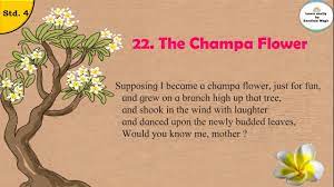 22 the cha flower poem std 4