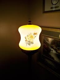 Swag Light Lamp Shade Vintage Glass