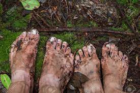 Dirty Feet On Moss In Jungle. Stock Photo, Picture and Royalty Free Image.  Image 85852841.