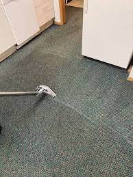 carpet and upholstery cleaning boise