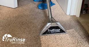 carpet cleaning archives trurinse