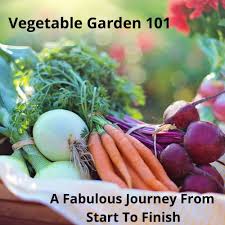 Vegetable Garden 101 A Fabulous Journey