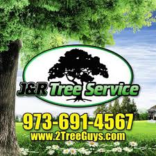 J R Tree Service Nextdoor