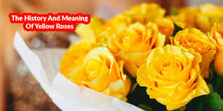 the history and meaning of yellow roses