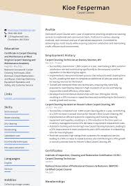 carpet cleaner resume exles and