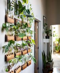 Diy Plant Wall
