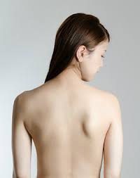 「肩甲骨」の画像検索結果