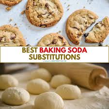 reliable baking soda subsutes