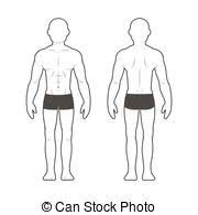 Male Body Type Chart Male Body Types Ectomorph Mesomorph