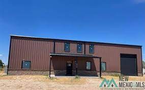eddy county nm homes real