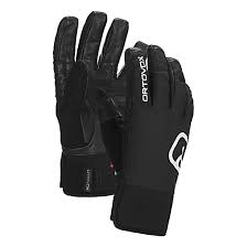 Ortovox Swisswool Glove Pro Wp Black Raven Free Shipping