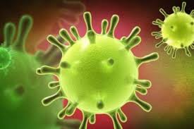 Virut Corona mới có thể lây từ người sang người - Benh.vn