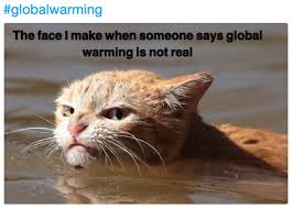 We did not find results for: Angry Hurricane Harvey Cat Know Your Meme