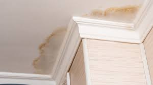 fix a ceiling with water damage