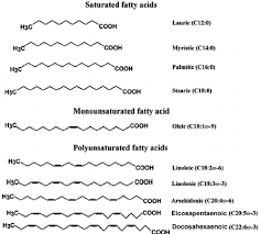 fatty acids including saturated fatty