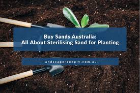 How To Sterilise Sand For Planting