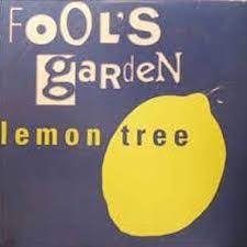 stream fools garden lemon tree by
