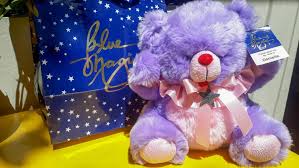 blue magic stuffed toy looking for on