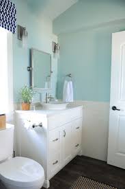 Blue Bathroom Paint