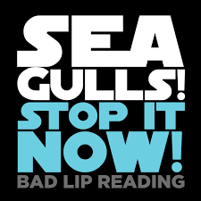 seagulls stop it now bad lip