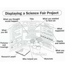 Student Journal You must maintain this journal during the entire science  fair project and turn it     Research Paper     