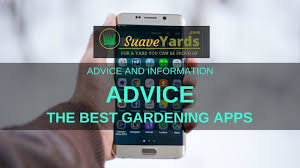 It depends on the day you're planting— if it's a sunny and windy day then late afternoon is best. Best Gardening Apps 7 Tech Tools To Help With Plant Care