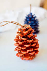 How To Make Pinecone Fire Starters