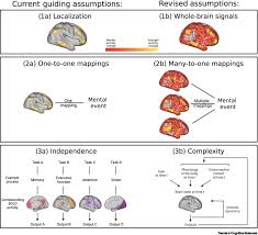 Improving The Study Of Brain Behavior
