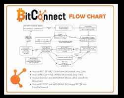 Bitconnect Explained In A Simple Flowchart Album On Imgur