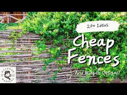 Fence Ideas And Budget Designs