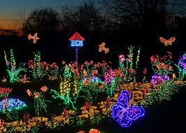 garden d lights