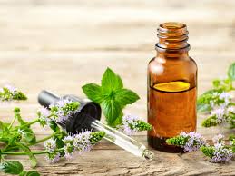 peppermint essential oil to repel bugs