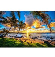 Kauai Hawaii Sunrise Photo With Palm
