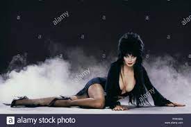 Elvira Mistress Of The Dark Stockfotos ...