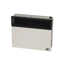 Direct Vent Propane Wall Heater