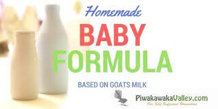 goats milk homemade infant formula recipe