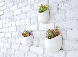 Wall Planters For Healthy And Joyful Homes