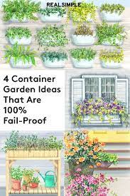 Potted Plants Container Garden