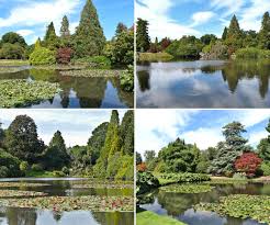 sheffield park and garden in sus