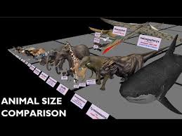Animal Size Comparison 3d