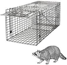 Bait, who needs bait to catch a groundhog? Homgarden Live Animal Cage Trap 32 Steel Humane Release Rodent Cage For Rabbits Stray Cat Squirrel Raccoon Mole Gopher Chicken Opossum