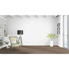 home decorators collection ework i